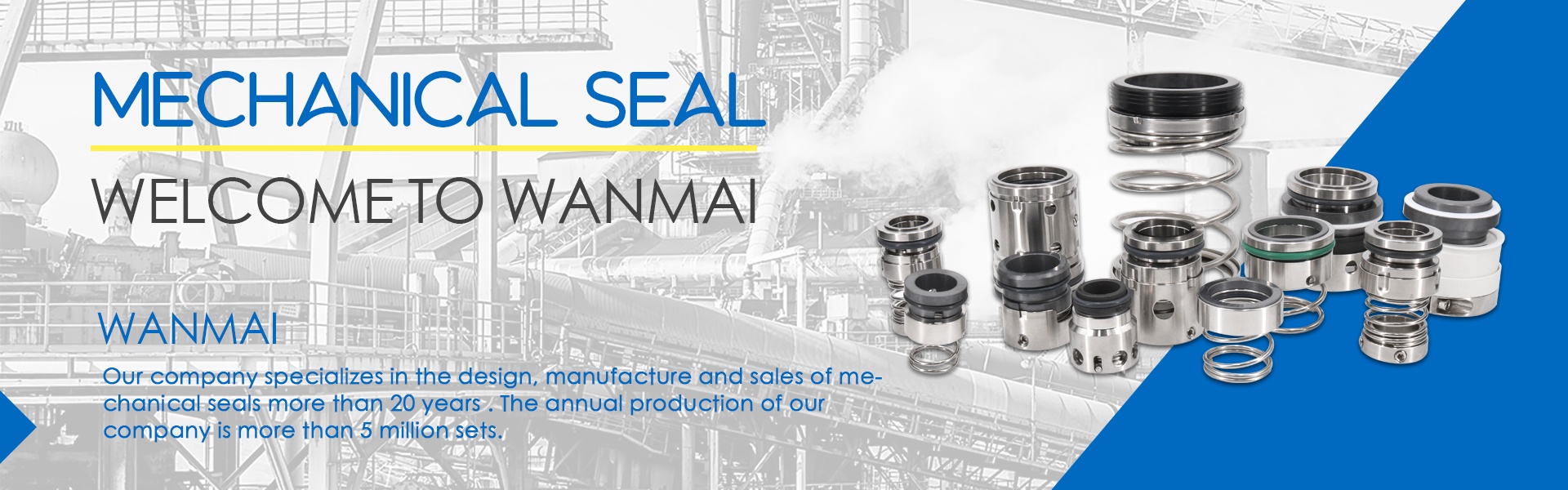 Mechanical Seal_1
