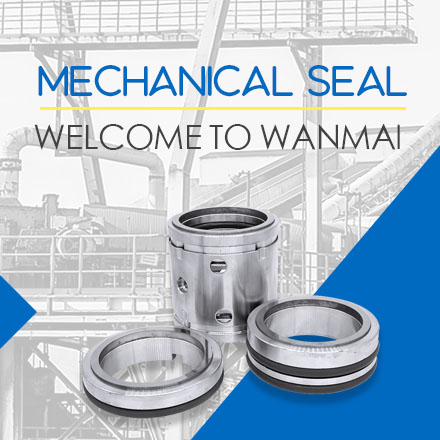 mechanical seal 1